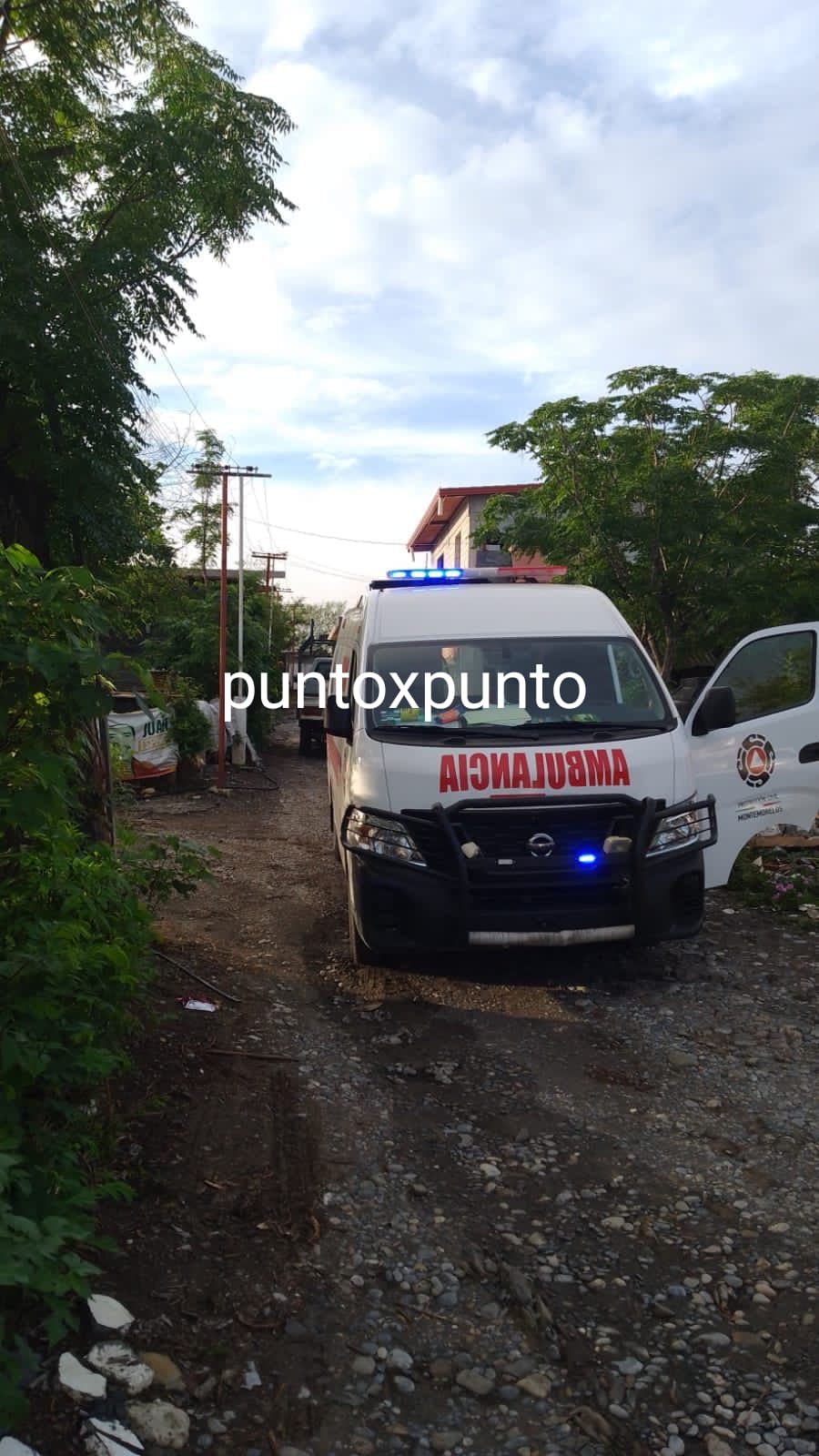 Muere Mujer Atropellada Por Su Propio Hijo Punto X Punto