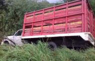 SALE DE LA CARRETERA CON SU CAMIÓN, ALEGA QUE TRÁILERO LE CERRO EL PASO EN MMORELOS.