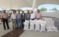 Entrega Javier Treviño semilla de trigo a productores