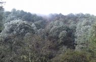 SE CUBRE DE HIELO LA SIERRA DE SANTIAGO POR BAJAS TEMPERATURAS.