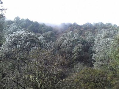 SE CUBRE DE HIELO LA SIERRA DE SANTIAGO POR BAJAS TEMPERATURAS.