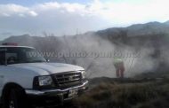 INCENDIO EN PARAJE TURÍSTICO GENERA MOVILIZACIÓN DE PROTECCIÓN CIVIL.