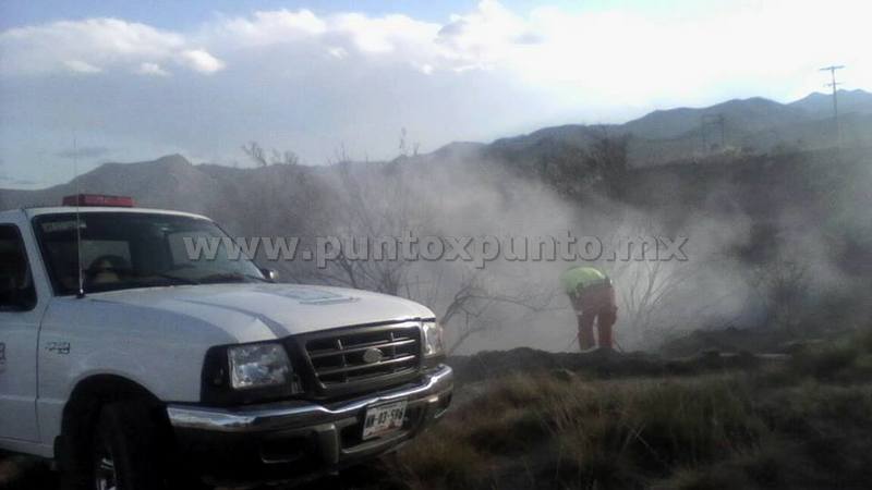 INCENDIO EN PARAJE TURÍSTICO GENERA MOVILIZACIÓN DE PROTECCIÓN CIVIL.