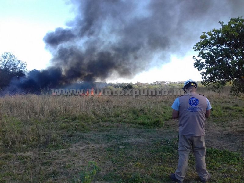 INCENDIO EN ALLENDE MOVILIZA A PROTECCIÓN CIVIL.