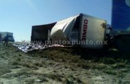 VOLCADURA DE TRAILER, REALIZAN RAPIÑA, SE LLEVAN TODA LA MERCANCÍA DE PAN.