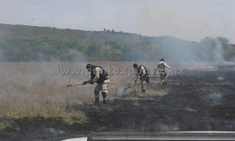 SE MOVILIZA PROTECCIÓN CIVIL, BOMBEROS Y POLICIA RURAL PARA CONTROLAR INCENDIO.