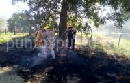 INCENDIO DE PASTIZAL MOVILIZA A PROTECCIÓN CIVIL Y BOMBEROS DE GENERAL TERAN