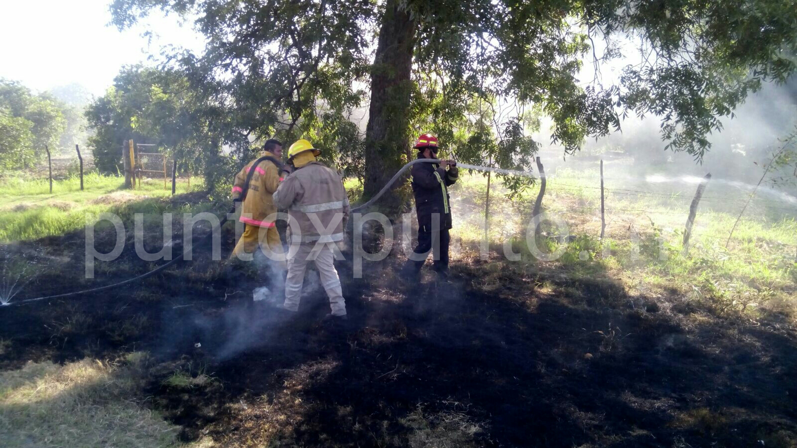 INCENDIO DE PASTIZAL MOVILIZA A PROTECCIÓN CIVIL Y BOMBEROS DE GENERAL TERAN