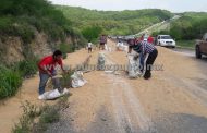 VUELCA TRAILER CARGADO DE TRIGO, CONDUCTORES APROVECHAN Y SE LO LLEVAN EN COSTALES.