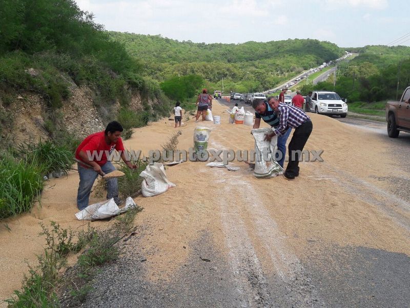 VUELCA TRAILER CARGADO DE TRIGO, CONDUCTORES APROVECHAN Y SE LO LLEVAN EN COSTALES.