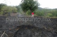 INCENDIO DE PASTIZAL EN LOS FIERROS EN SANTIAGO.