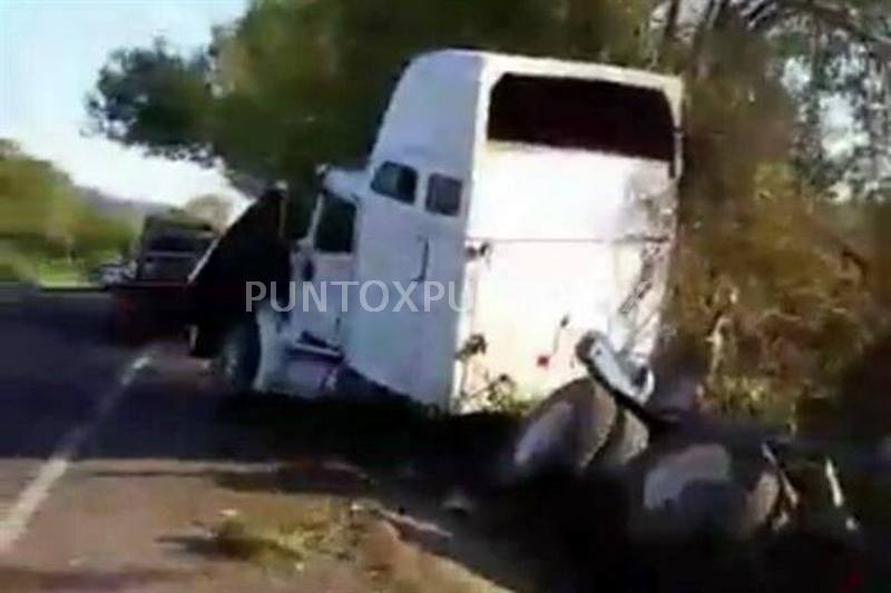 VOLCADURA DE TRÁILER MOVILIZA A LOS CUERPOS DE AUXILIO EN ALLENDE.