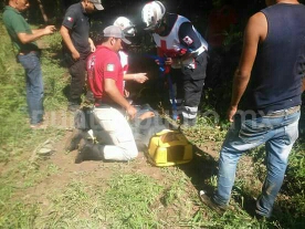 CAE DE UN NOGAL, JUNTANDO NUECES, SE LESIONA