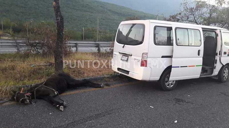 TRES PERSONAS PROCEDENTES DE GARCÍA RESULTAN HERIDOS AL ATROPELLAR CABALLO EN SANTIAGO.