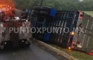 DEJA CARGA REGADA DE TOMATE Y CHILE EN CARRETERA NACIONAL AL VOLCAR TRAILER QUE MANEJABA.