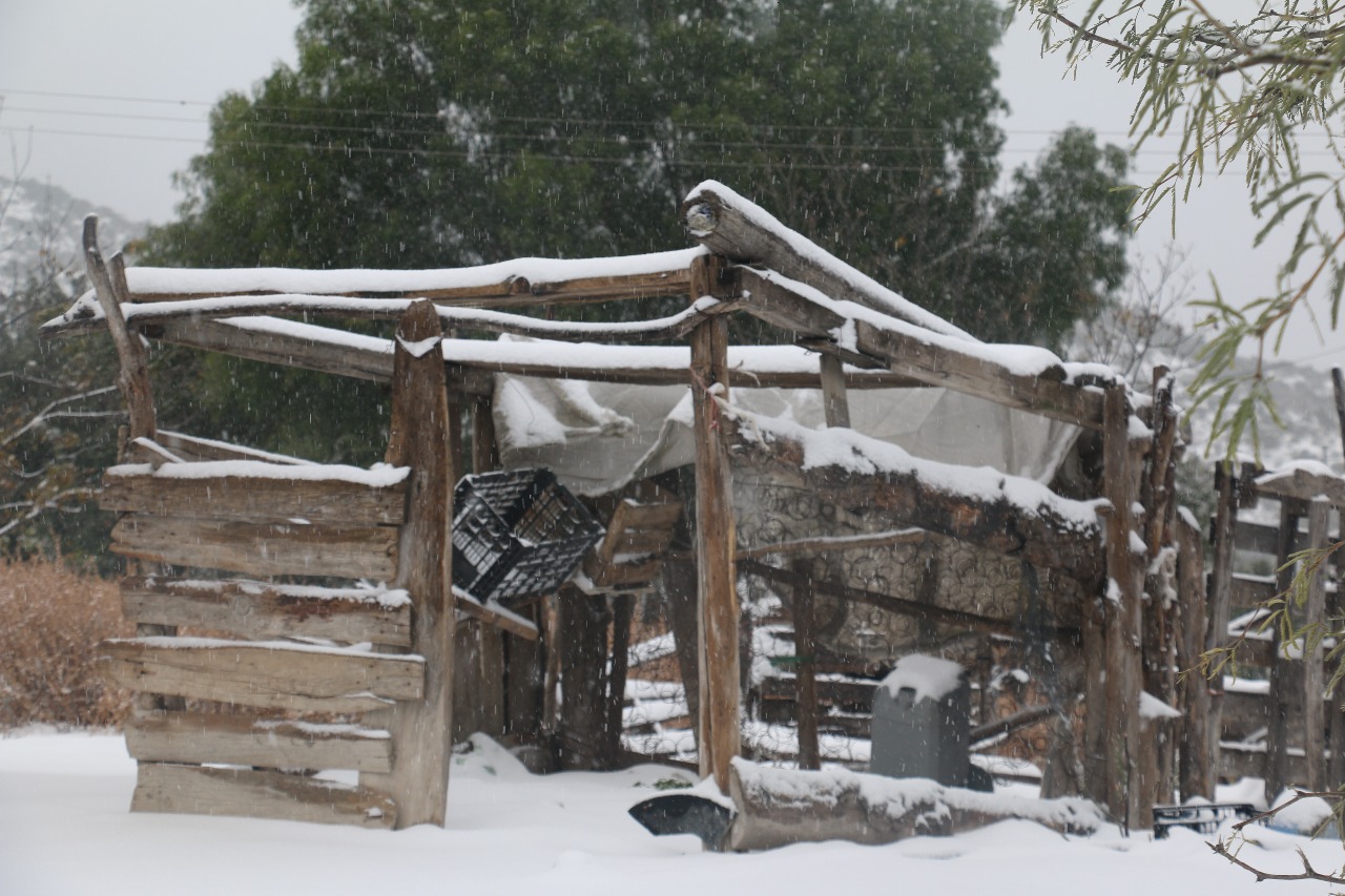 DECLARAN ZONA DE AFECTACIÓN POR NEVADAS EN GALEANA.