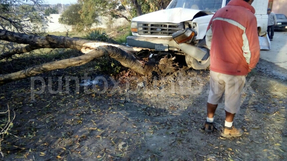 CHOCA CONTRA UN ÁRBOL, PROVOCA DAÑOS.