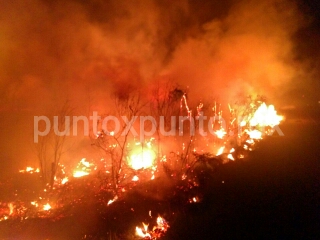 INCENDIO DE PASTIZAL MOVILIZA A PROTECCIÓN CIVIL Y BOMBEROS DE MMORELOS.