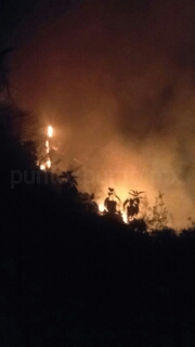 INCENDIO FORESTAL SE EXTIENDE EN SANTIAGO.