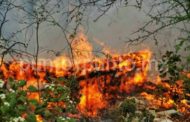 MÁS DE DIEZ HECTÁREAS SON CONSUMIDAS POR EL FUEGO EN INCENDIO FORESTAL.