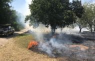 INCENDIO DE PASTIZAL MOVILIZA A PROTECCIÓN CIVIL Y BOMBEROS DE MMORELOS.