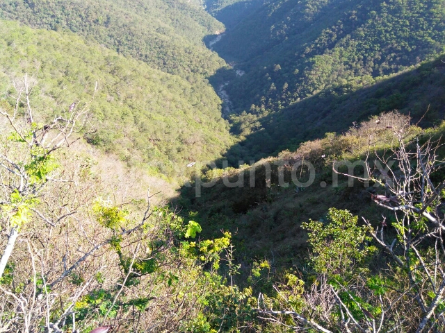 CAMIÓN DE PASAJEROS DONDE VIAJABAN 40 RELIGIOSOS CAE A VOLADERO EN SIERRA DE MMORELOS Y SE INCENDIA.