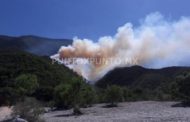 INCENDIO FORESTAL EN SIERRA DE SANTIAGO MOVILIZA A PROTECCIÓN CIVIL DEL ESTADO Y MUNICIPIO.