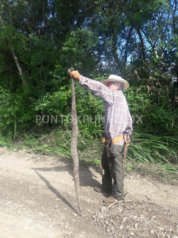 MATAN VÍBORA EN COMUNIDAD DE MMORELOS.