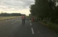 POR LLUVIAS EN MMORELOS RETIRAN ÁRBOLES QUE OBSTRUIAN VIALIDADES EN DIFERENTES CARRETERAS Y CAMINOS.