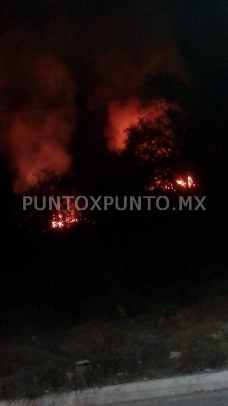 INCENDIO DE PASTIZAL EN ALLENDE MOVILIZA A PROTECCIÓN CIVIL Y BOMBEROS.