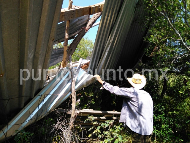 TORNADO CAUSA DAÑOS EN EJIDO DE MONTEMORELOS, DERRIBA ÁRBOLES, TECHOS DE VIVIENDAS.