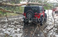 ÁRBOL CAE ENCIMA DE VEHÍCULO EN SANTIAGO POR LOS FUERTES VIENTOS Y LLUVIAS.