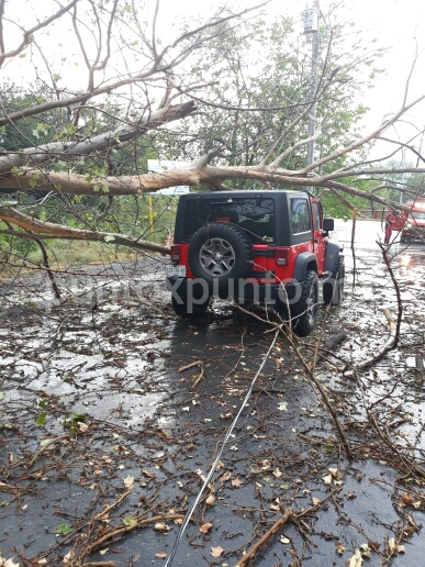 ÁRBOL CAE ENCIMA DE VEHÍCULO EN SANTIAGO POR LOS FUERTES VIENTOS Y LLUVIAS.