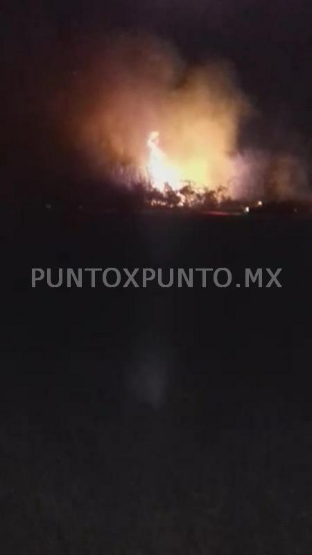 LOGRAN CONTROLAR INCENDIO DE PASTIZAL EN RIVERAS DEL RIO EN GENERAL TERAN.