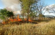 INCENDIO DE PASTIZAL A ESPALDA DE LA MORELOS UNO ES CONTROLADO POR PROTECCIÓN CIVIL DE MMORELOS.