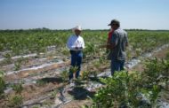 SAGARPA ANUNCIA PRÓXIMO CIERRE DE VENTANILLAS PARA REGISTRO DE PROAGRO EN NL