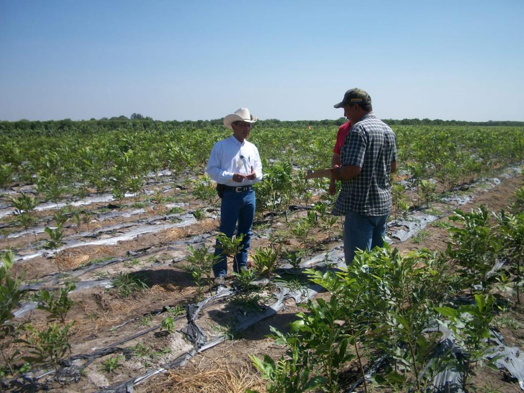 SAGARPA ANUNCIA PRÓXIMO CIERRE DE VENTANILLAS PARA REGISTRO DE PROAGRO EN NL