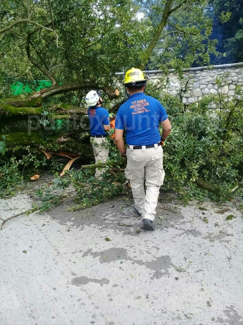 RETIRA PROTECCIÓN CIVIL DE ALLENDE ÁRBOL QUE OBSTRUIA PUENTE.