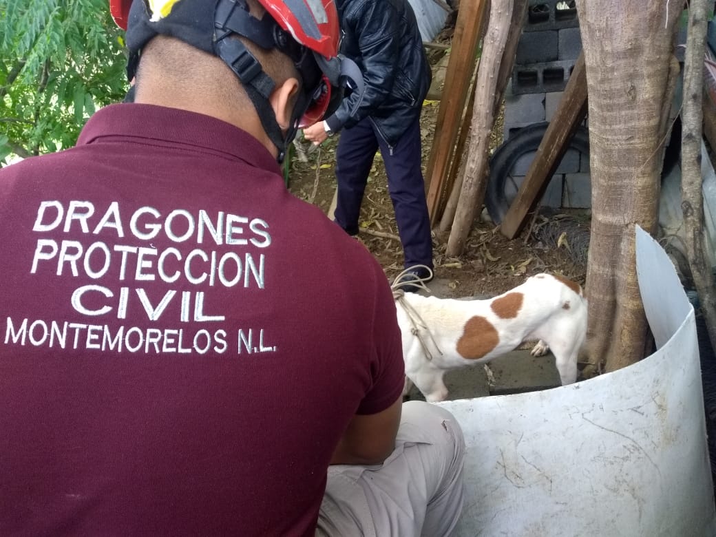 MUJER ES ATACADA POR PERRO EN COLONIA DE MONTEMORELOS, LA TRASLADAN A HOSPITAL GENERAL.