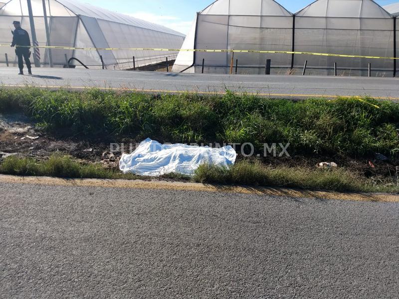 IDENTIFICAN A QUIÉN MURIÓ ATROPELLADO EN CARRETERA NACIONAL ERA DE HUALAHUISES.