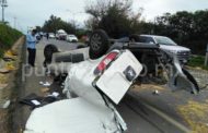 BRINCA CAMELLÓN EN CARRETERA NACIONAL VUELCA Y SE ESTRELLA CONTRA OTRO VEHÍCULO.