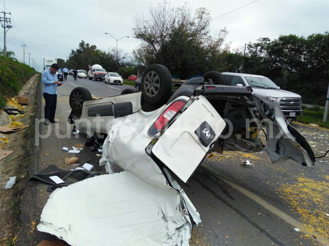 BRINCA CAMELLÓN EN CARRETERA NACIONAL VUELCA Y SE ESTRELLA CONTRA OTRO VEHÍCULO.