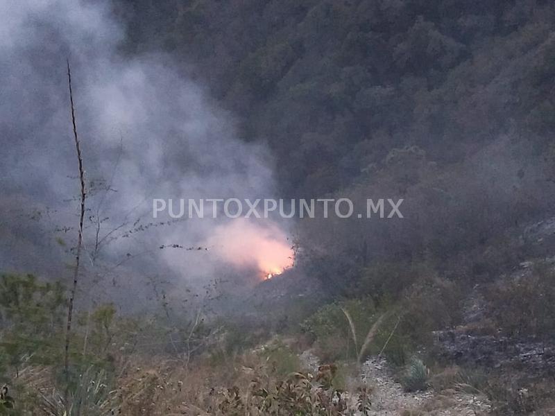 INCENDIO FORESTAL EN MMORELOS GENERA MOVILIZACIÓN DE PROTECCIÓN CIVIL Y BOMBEROS.