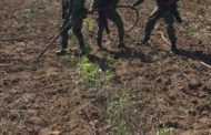 LOCALIZAN TOMA CLANDESTINA EN DUCTO DE LINARES.