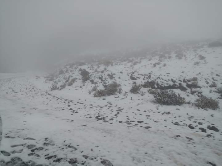 REPORTA CAÍDA DE AGUA NIEVE EN EL CERRO DEL POTOSÍ AL SUR DEL ESTADO EN GALEANA.