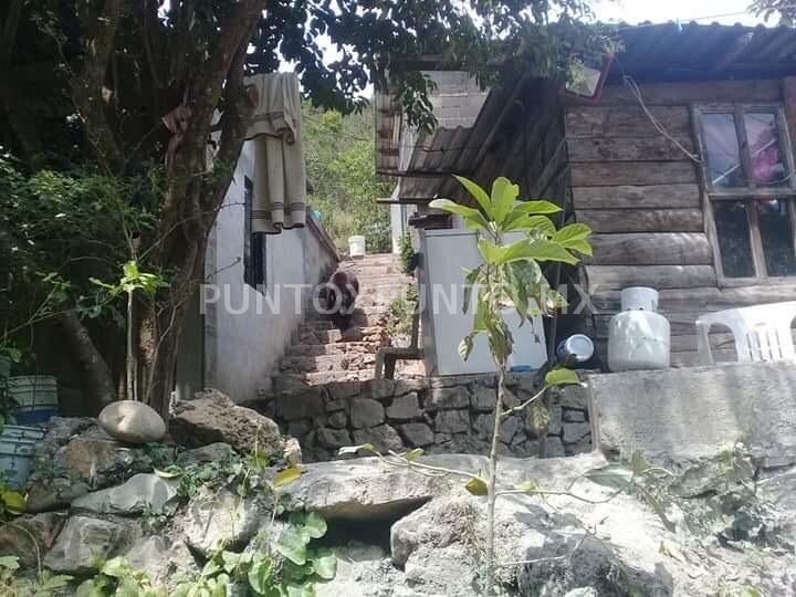 BAJA OSO POR COMIDA EN UN DOMICILIO EN SANTIAGO.