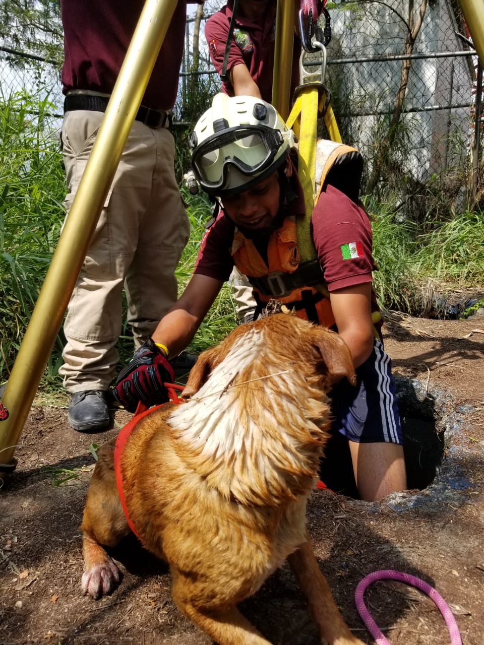 RESCATAN PERRO QUE CAE A UNA NORIA EN COLONIA DE MMORELOS.