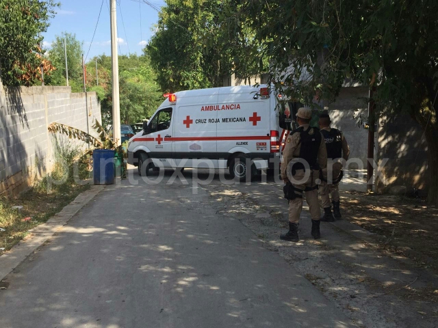 CAE DE ÁRBOL EN ALLENDE Y RESULTA LESIONADO, LO TRASLADAN A HOSPITAL.