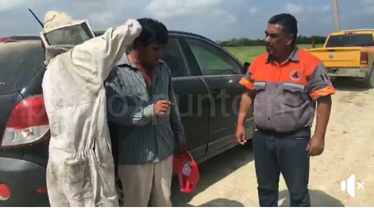 RESCATA PROTECCION CIVIL DE GENERAL TERAN A MAQUINISTA QUE ES ATACADO POR ABEJAS.