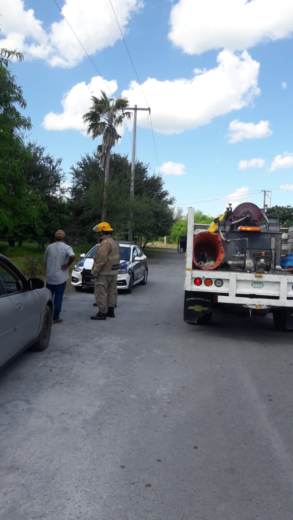 CORTO CIRCUITO EN UNA PALMA MOVILIZA A PROTECCION CIVIL DE GENERAL TERAN.